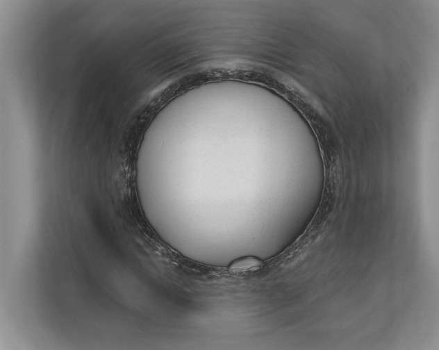 X0000110740822200906290946