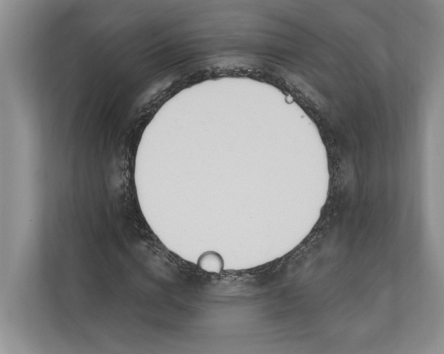 X0000110740824200906290946