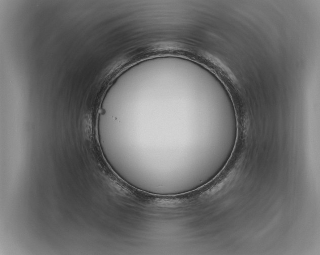 X0000110740825200906290946