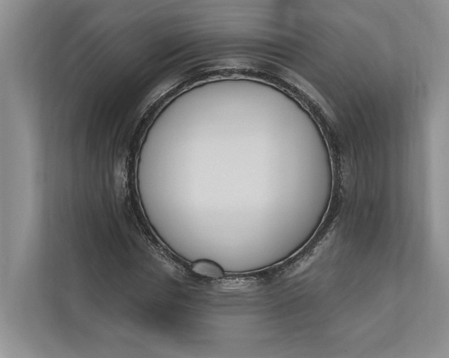 X0000110740826200906290946