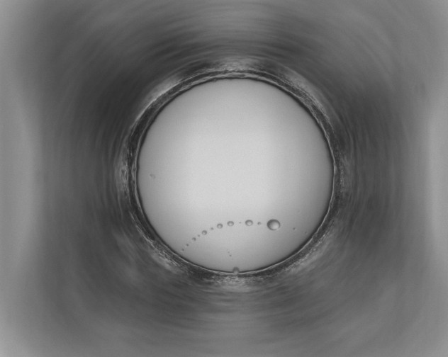 X0000110740827200906290946