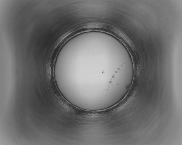 X0000110740829200906290946