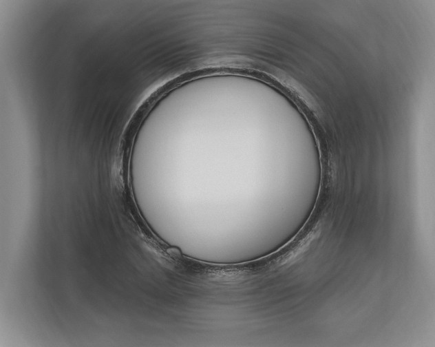 X0000110740830200906290946