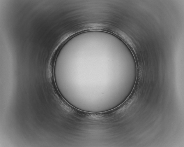 X0000110740835200906290946