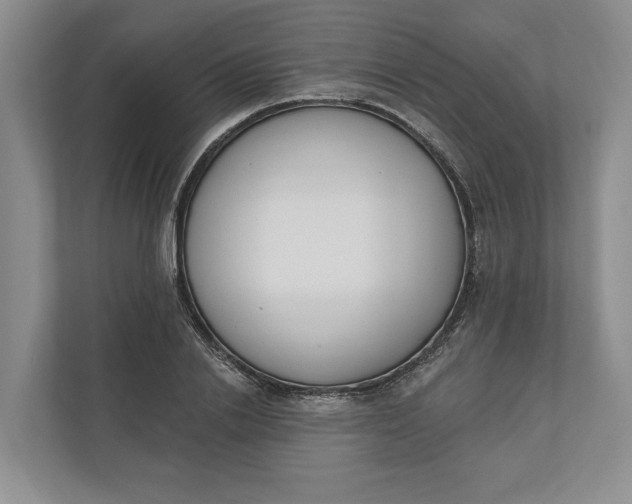 X0000110740838200906290946