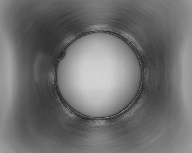 X0000110740841200906290946