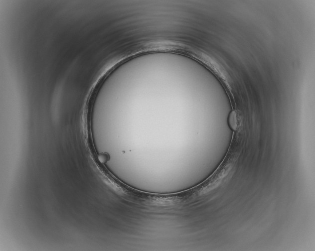 X0000110740843200906290946