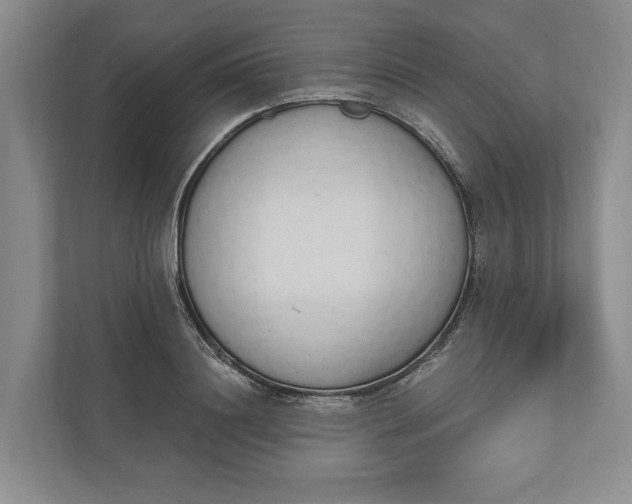 X0000110740844200906290946