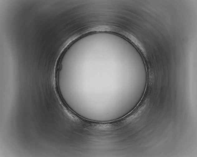 X0000110740845200906290946