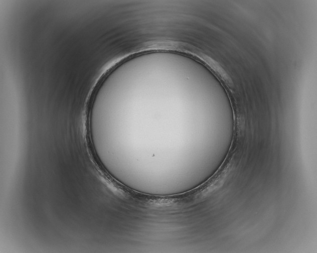 X0000110740846200906290946