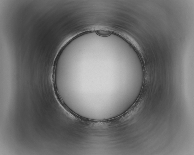 X0000110740847200906290946