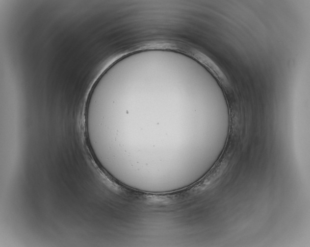 X0000110740852200906290946