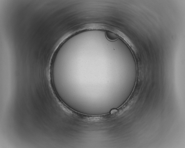 X0000110740853200906290946