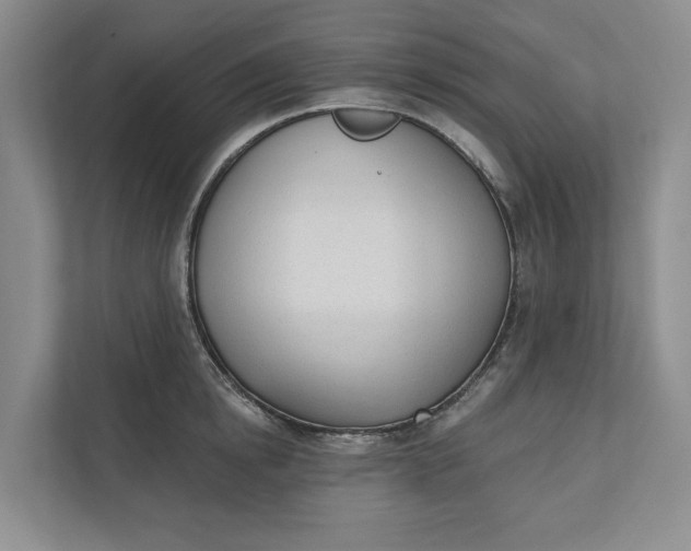 X0000110740854200906290946