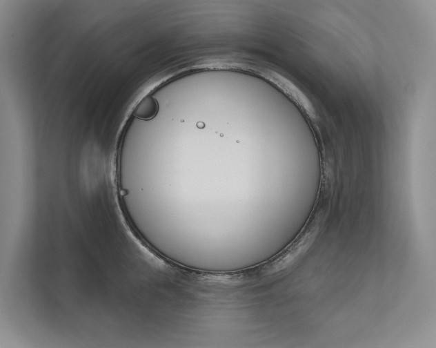 X0000110740855200906290946