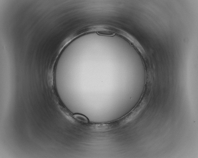 X0000110740858200906290946