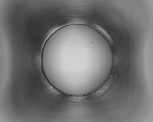 X0000110740860200906290947