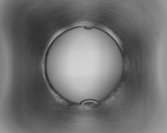 X0000110740861200906290947