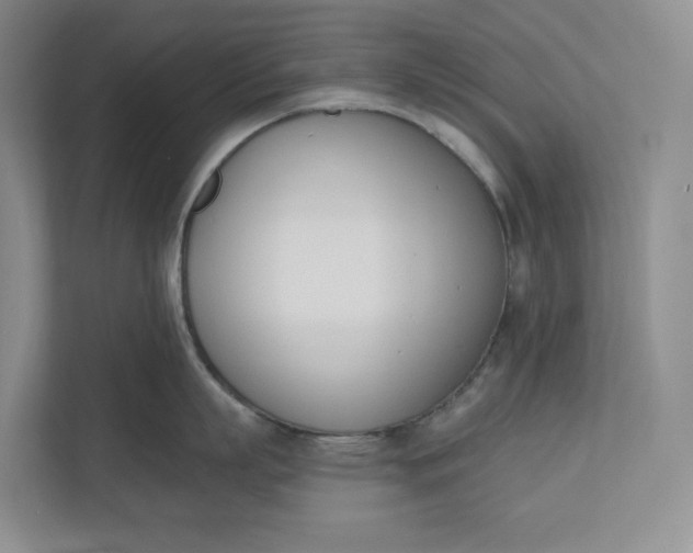 X0000110740863200906290947