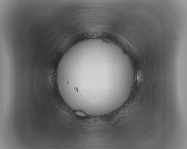 X0000110740867200906290946