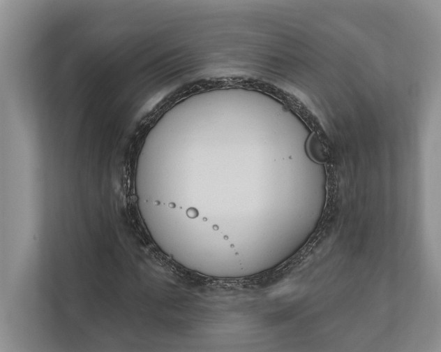 X0000110740871200906290946