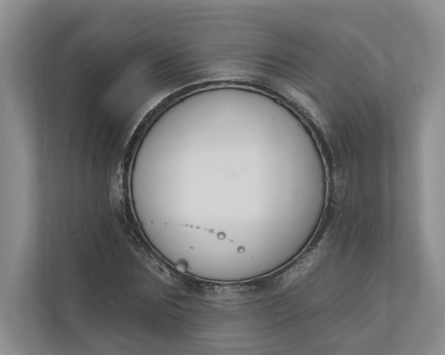 X0000110740875200906290946