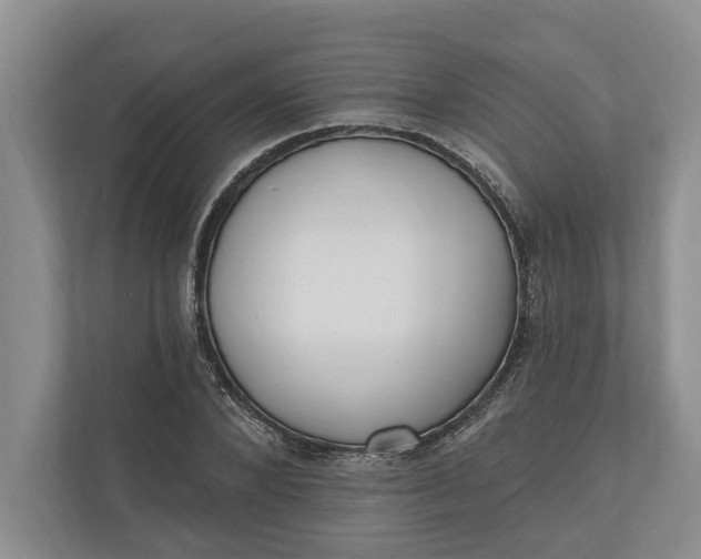 X0000110740880200906290946