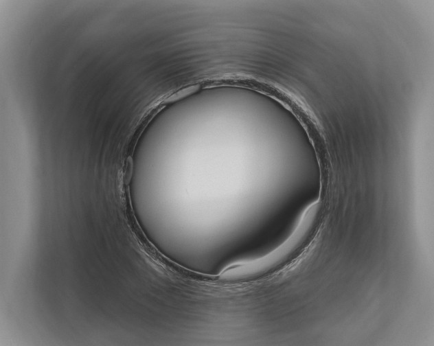 X0000110740881200906290946