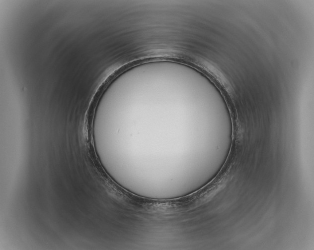 X0000110740883200906290946