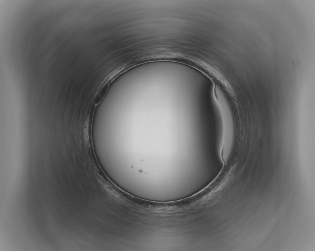 X0000110740889200906290946