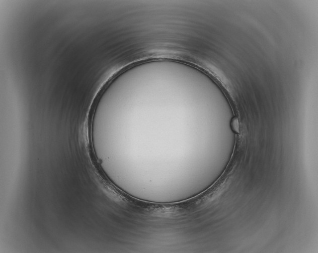 X0000110740891200906290946