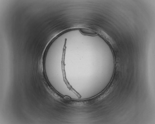 X0000110740892200906290946