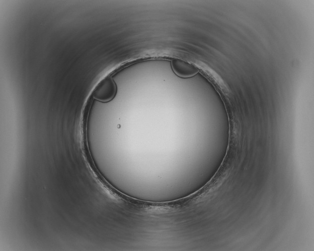 X0000110740894200906290946