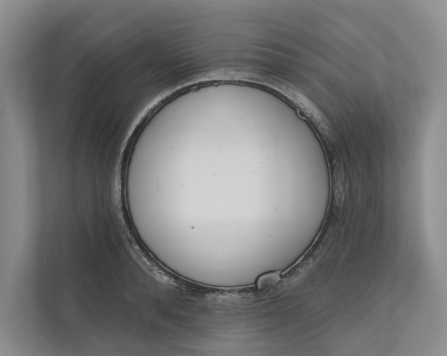 X0000110740896200906290946