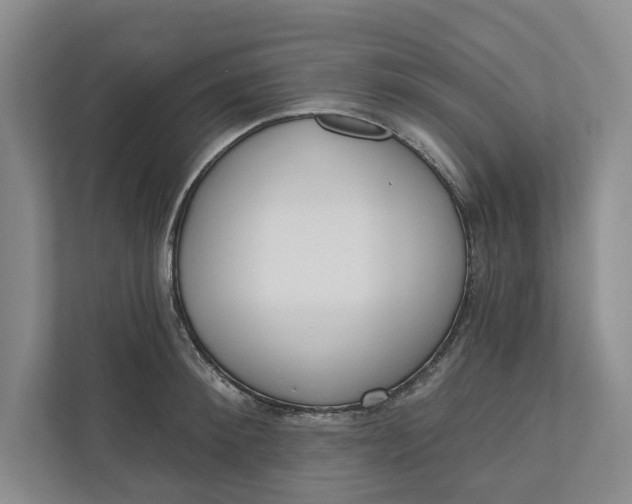 X0000110740900200906290945