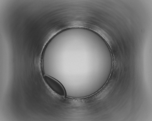 X0000110740901200906290945