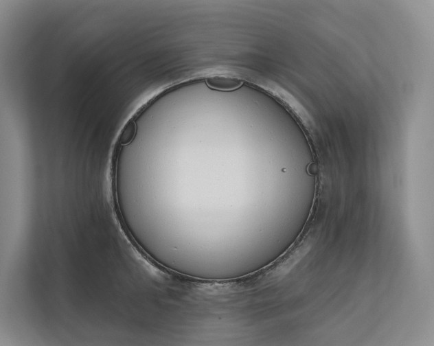 X0000110740902200906290945