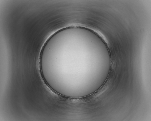 X0000110740903200906290945