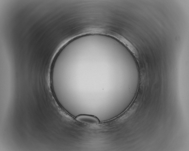 X0000110740904200906290945