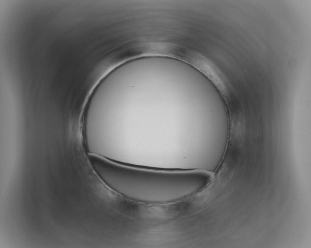 X0000110740908200906290945