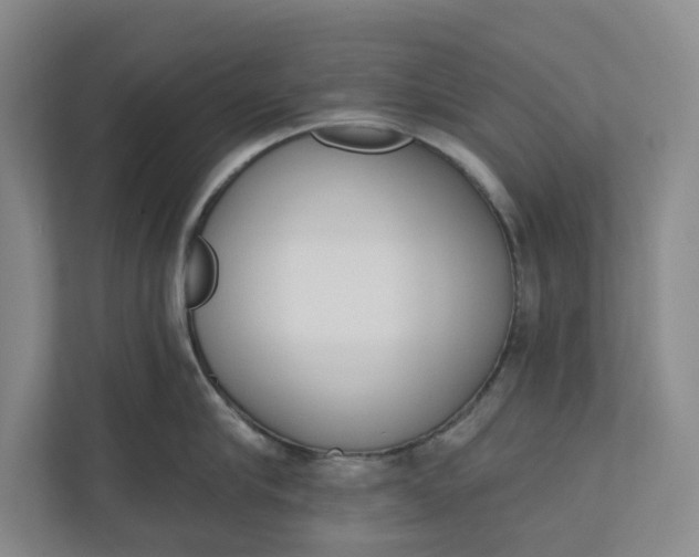 X0000110740910200906290945