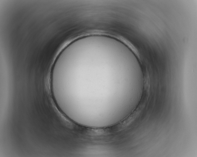 X0000110740911200906290945