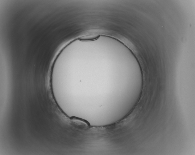 X0000110740912200906290945