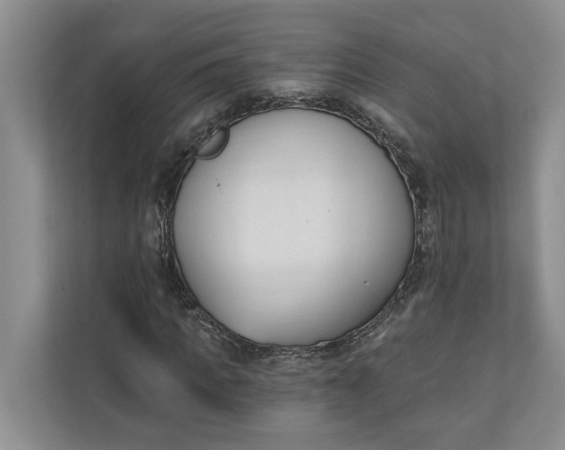 X0000110740917200906290945