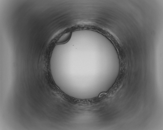 X0000110740919200906290945