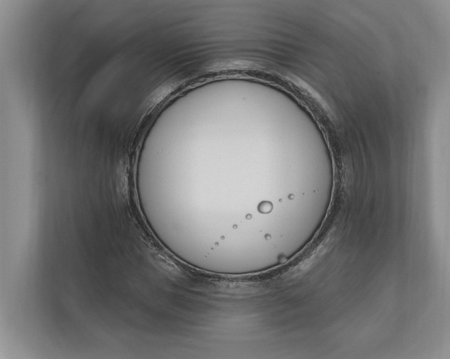 X0000110740921200906290945