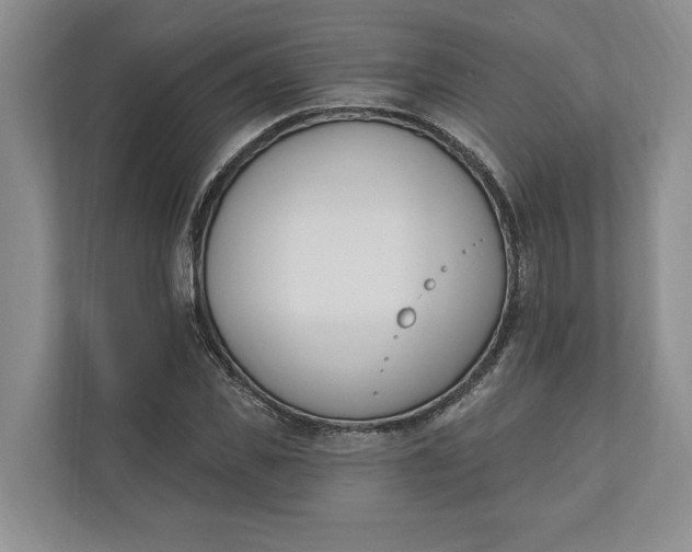 X0000110740925200906290945