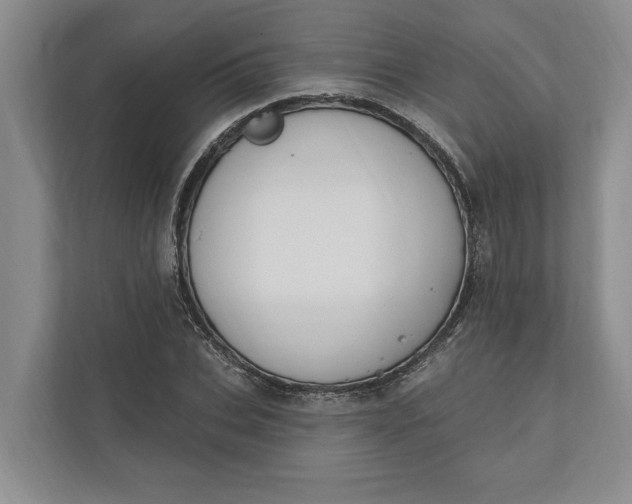 X0000110740927200906290945