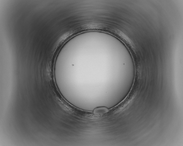 X0000110740930200906290945