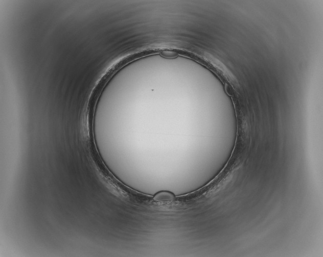 X0000110740934200906290945